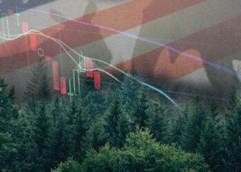 Stocks going down over woods