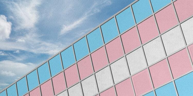 trans flag in office window