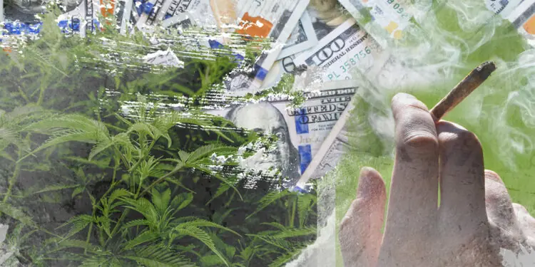 weed economy