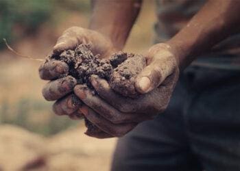 Hands holding dirt