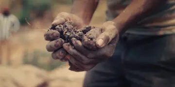Hands holding dirt