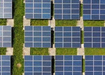 a field of solar panels