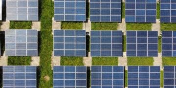 a field of solar panels