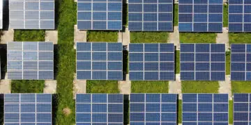 a field of solar panels