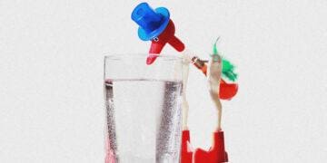 perpetual motion bird