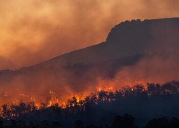 photo of Australian wildfire