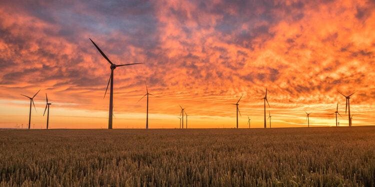 windmills at sunset