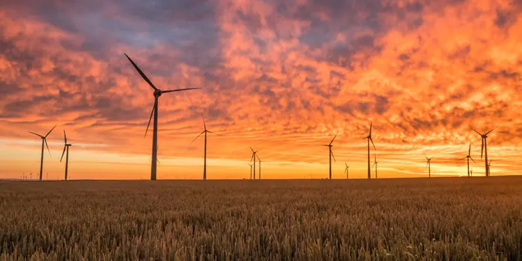 windmills at sunset