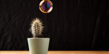 bubble floating near cactus