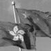chinese and hong kong flags
