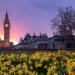 uk parliament building and big ben
