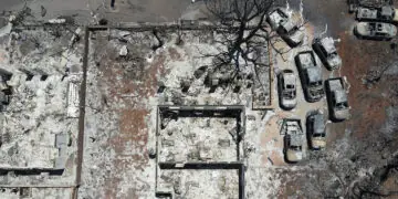 lahaina wildfire damage