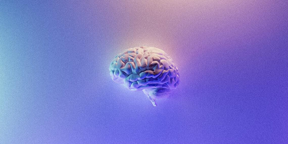 rendering of human brain