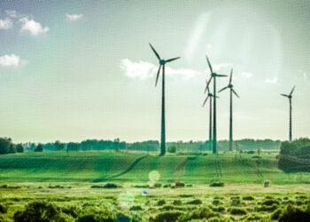 wind generators in a verdant field