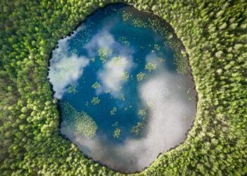 circular lake in middle of forest