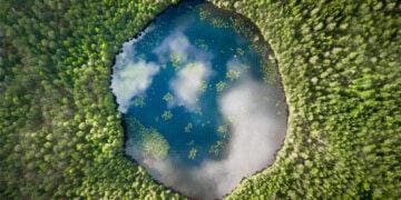 circular lake in middle of forest