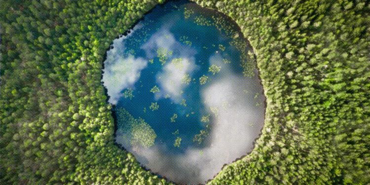 circular lake in middle of forest