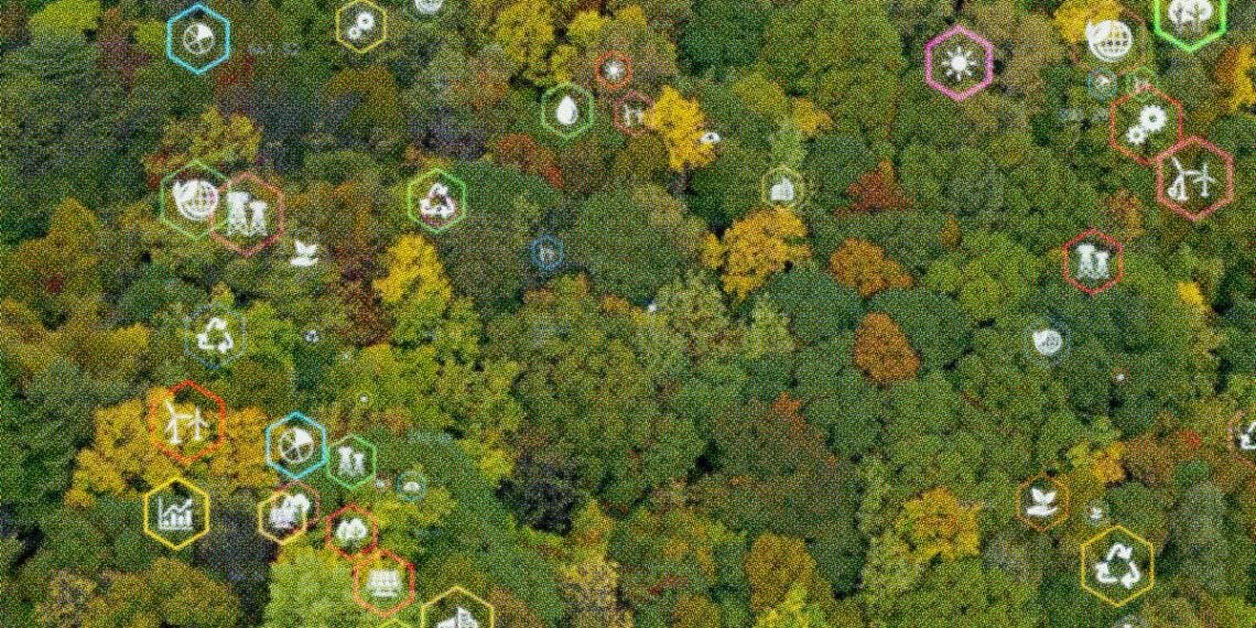 lush forest with data points called out