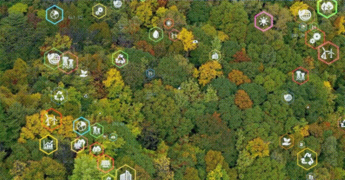 lush forest with data points called out
