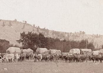freighting between sturgis and deadwood