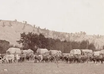 freighting between sturgis and deadwood