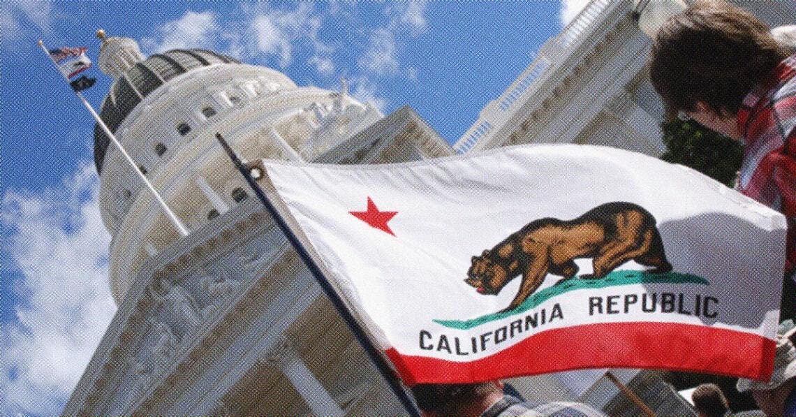 protester holding california state flag outside capitol building