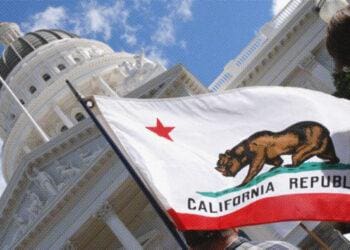protester holding california state flag outside capitol building