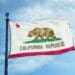 california state flag