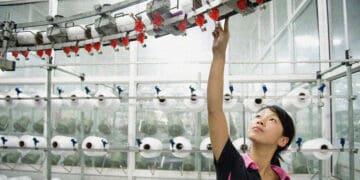 CSRD Essentials: How New Requirements Are Set to Affect Your Business & Value Chain