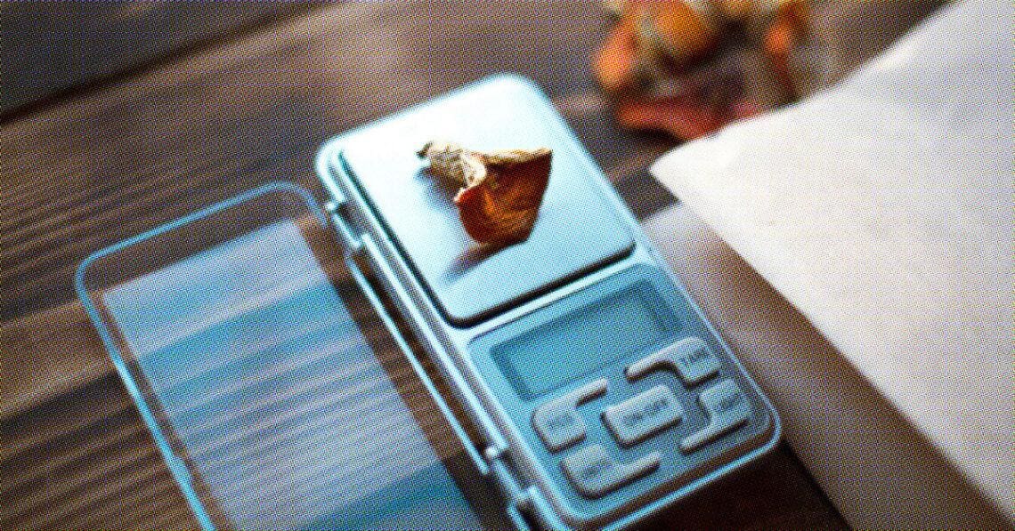 weighing mushrooms for microdosing