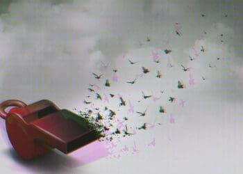 moody whistleblower concept birds flying