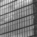 skyscraper windows corporate transparency concept