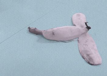 banana peel on office floor