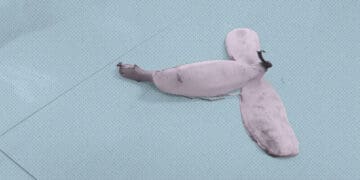 banana peel on office floor