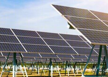 field of solar panels