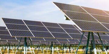 field of solar panels