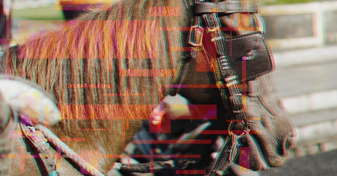 horse with blinders