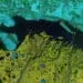 gis satellite image