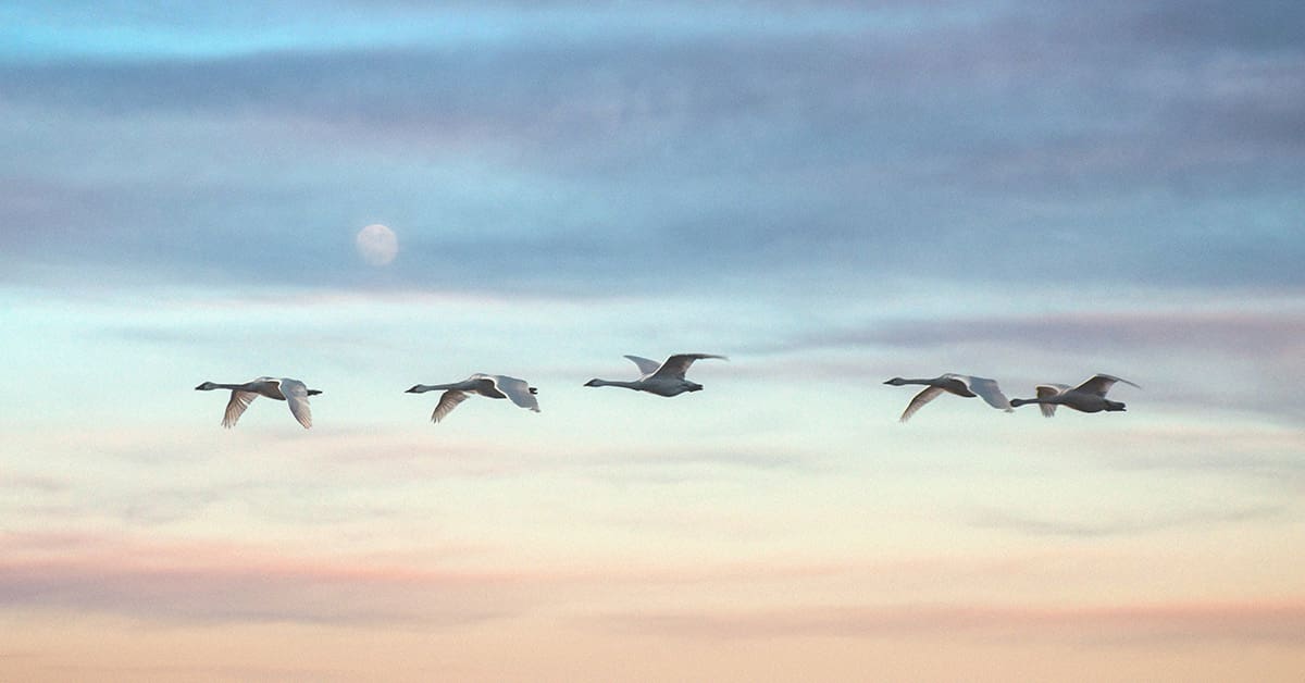 Offshore or Off-Course? The Ethics of Corporate Migration