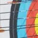 arrows in target