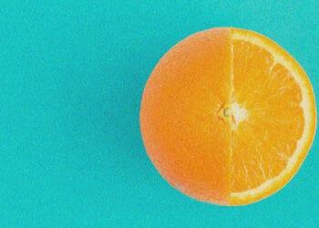 sliced orange metaphor for company ownership