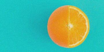 sliced orange metaphor for company ownership