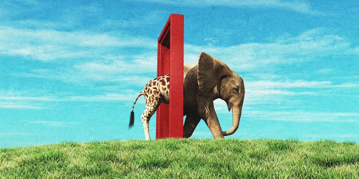 giraffe becoming elephant change concept