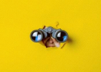 binoculars peeking through screen