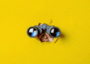 binoculars peeking through screen
