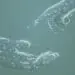 digital hands reaching out