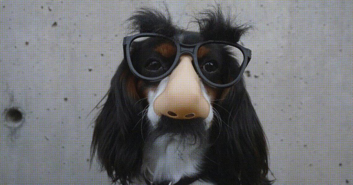 dog in groucho mask