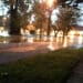 jen flooded street