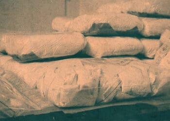 fcpa latin america drug cartel