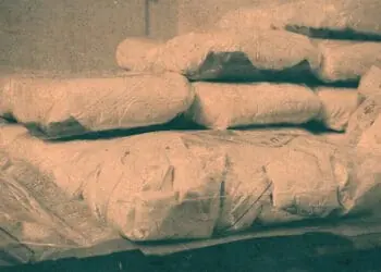 fcpa latin america drug cartel